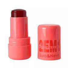 Batom e Blush 2 em 1 da Lua & Neve cor 02